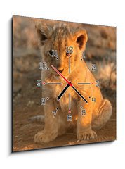 Obraz s hodinami 1D - 50 x 50 cm F_F682146 - lion cub