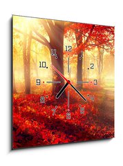 Obraz s hodinami 1D - 50 x 50 cm F_F69511191 - Fall scene. Beautiful autumnal park in sunlight