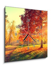 Obraz s hodinami 1D - 50 x 50 cm F_F70441318 - Autumn scene. Fall. Trees and leaves in sun light