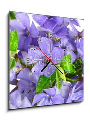 Obraz s hodinami 1D - 50 x 50 cm F_F7068319 - Small violet of flower on white background - Malá fialová květina na bílém pozadí