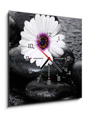 Obraz s hodinami 1D - 50 x 50 cm F_F71029575 - Macro of beautiful white gerbera with wet stones