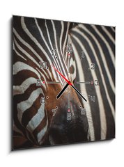 Obraz s hodinami   Zebra portrait in Prague Zoo, 50 x 50 cm