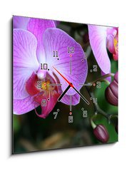 Obraz s hodinami 1D - 50 x 50 cm F_F71782201 - Beautiful purple orchid - phalaenopsis