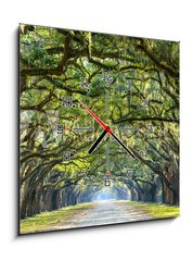 Obraz s hodinami 1D - 50 x 50 cm F_F76209403 - Country Road Lined with Oaks in Savannah, Georgia - Country Road lemovan s duby v Savannah, Gruzie