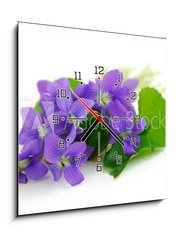 Obraz s hodinami   violets on white background, 50 x 50 cm