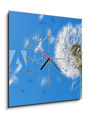 Obraz s hodinami   Dandelion Flying Seeds, 50 x 50 cm