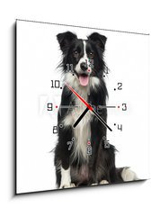 Obraz s hodinami 1D - 50 x 50 cm F_F77673572 - Border Collie (2 years old)