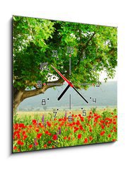 Obraz s hodinami 1D - 50 x 50 cm F_F7853282 - Poppy s field and big green tree - Poppy pole a velký zelený strom