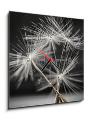 Obraz s hodinami 1D - 50 x 50 cm F_F79359123 - Dandelion seeds standing