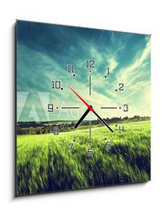 Obraz s hodinami   field of barley in sunset time, 50 x 50 cm