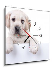 Obraz s hodinami 1D - 50 x 50 cm F_F80290428 - Puppy dog holding sign or banner isolated