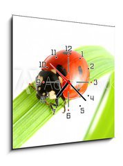 Obraz s hodinami   ladybug go to you, 50 x 50 cm