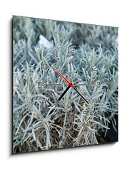 Obraz s hodinami 1D - 50 x 50 cm F_F84844244 - Lavender in a flower shop.
