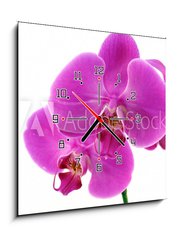 Obraz s hodinami   Orchidea fiorita, 50 x 50 cm