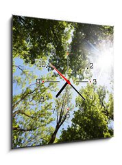 Obraz s hodinami   A ray of sunlight in the trees, 50 x 50 cm