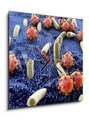 Obraz s hodinami   Bacteria and viruses on surface of skin, mucous membrane or intestine, model of MERS, HIV, flu, Escherichia coli, Salmonella, Klebsiella, Legionella, Mycobacterium tuberculosis, model of microbes, 50 x 50 cm