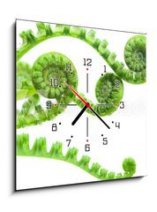Obraz s hodinami 1D - 50 x 50 cm F_F8942072 - fern - kapradina