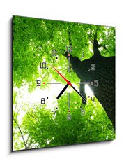 Obraz s hodinami 1D - 50 x 50 cm F_F9016603 - green leaves - zelené listy