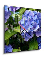 Obraz s hodinami 1D - 50 x 50 cm F_F9180840 - hortensia