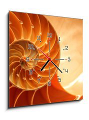 Obraz s hodinami   Split nautilus seashell showing inner float chambers, 50 x 50 cm