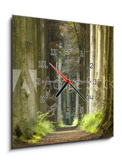 Obraz s hodinami   nature pathway, 50 x 50 cm