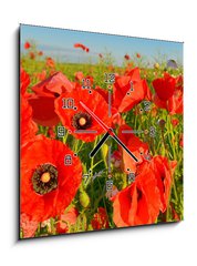 Obraz s hodinami 1D - 50 x 50 cm F_F95383540 - Poppies