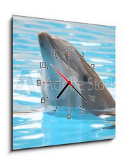Obraz s hodinami 1D - 50 x 50 cm F_F95423 - delfín - dolphin
