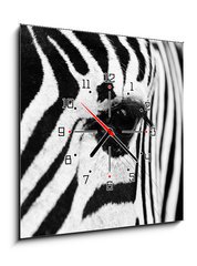 Obraz s hodinami 1D - 50 x 50 cm F_F96255534 - zebra in field