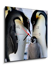 Obraz s hodinami 1D - 50 x 50 cm F_F9651364 - Emperor penguins with chick - Csa tuci s kutkem
