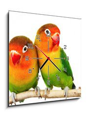 Obraz s hodinami   Pair of lovebirds agapornis fischeri isolated on white, 50 x 50 cm