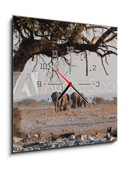 Obraz s hodinami 1D - 50 x 50 cm F_F98815534 - Elefantenherde verl sst das Wasserloch Etosha Namibia - Elefantenherde verl sst das Wasserloch Etosha Namibie