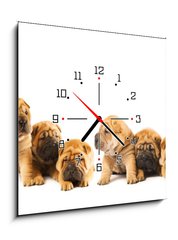 Obraz s hodinami 1D - 50 x 50 cm F_F9958473 - Group of beautiful sharpei puppies isolated on white background - Skupina krásných štěňátek sharpei izolovaných na bílém pozadí