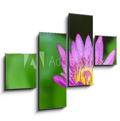 Obraz   Beautiful lotus bloom bright, 120 x 90 cm