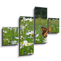 Obraz tydln 4D - 120 x 90 cm F_IB10201983 - Butterfly Queen of Spain Fritillary - spring landscape - Butterfly krlovna panlska Fritillary