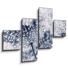Obraz 4D tydln - 120 x 90 cm F_IB104898301 - Plant seeds with water drops