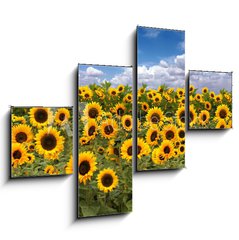 Obraz tydln 4D - 120 x 90 cm F_IB10725175 - Sunflower Farmland With Blue Cloudy Sky