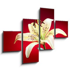 Obraz 4D tydln - 120 x 90 cm F_IB10726288 - lily flower
