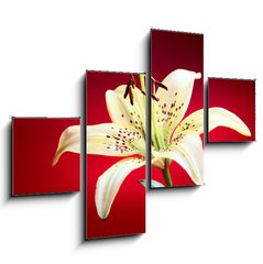 Obraz 4D tydln - 120 x 90 cm F_IB10726288 - lily flower - kvt lilie