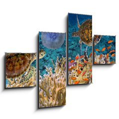 Obraz 4D tydln - 120 x 90 cm F_IB107412265 - Colorful coral reef with many fishes and sea turtle - Barevn korlov tes s mnoha rybami a mosk elva