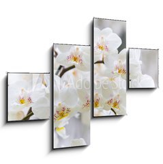 Obraz   Vibrant holiday background with beautiful close up white orchid flower branch , 120 x 90 cm