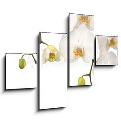 Obraz tydln 4D - 120 x 90 cm F_IB11459178 - White orchid