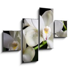 Obraz   Orchid flowers over black (Cymbidium sp), 120 x 90 cm