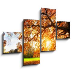 Obraz 4D tydln - 120 x 90 cm F_IB119517756 - Schne Eiche auf Wiese bei untergehender Sonne im Herbst