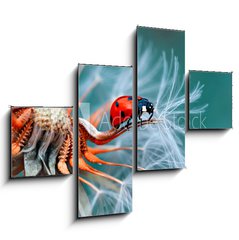 Obraz 4D tydln - 120 x 90 cm F_IB121417091 - freedom