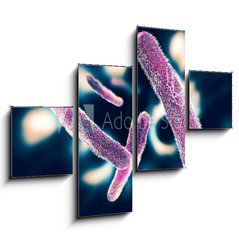 Obraz   Shigella Bacteria, 120 x 90 cm