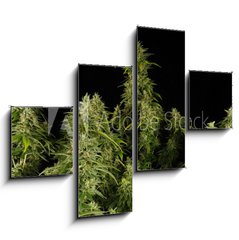 Obraz 4D tydln - 120 x 90 cm F_IB12303804 - Ganja11