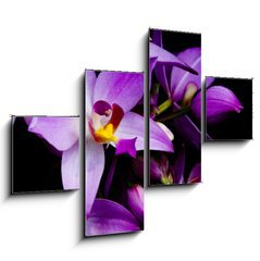 Obraz tydln 4D - 120 x 90 cm F_IB1241133 - orchids