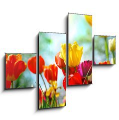 Obraz tydln 4D - 120 x 90 cm F_IB12856836 - Tulips - Tulipny