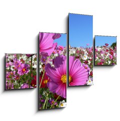 Obraz tydln 4D - 120 x 90 cm F_IB13047845 - Pink cosmos