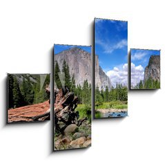 Obraz tydln 4D - 120 x 90 cm F_IB13181871 - El Capitan View in Yosemite Nation Park